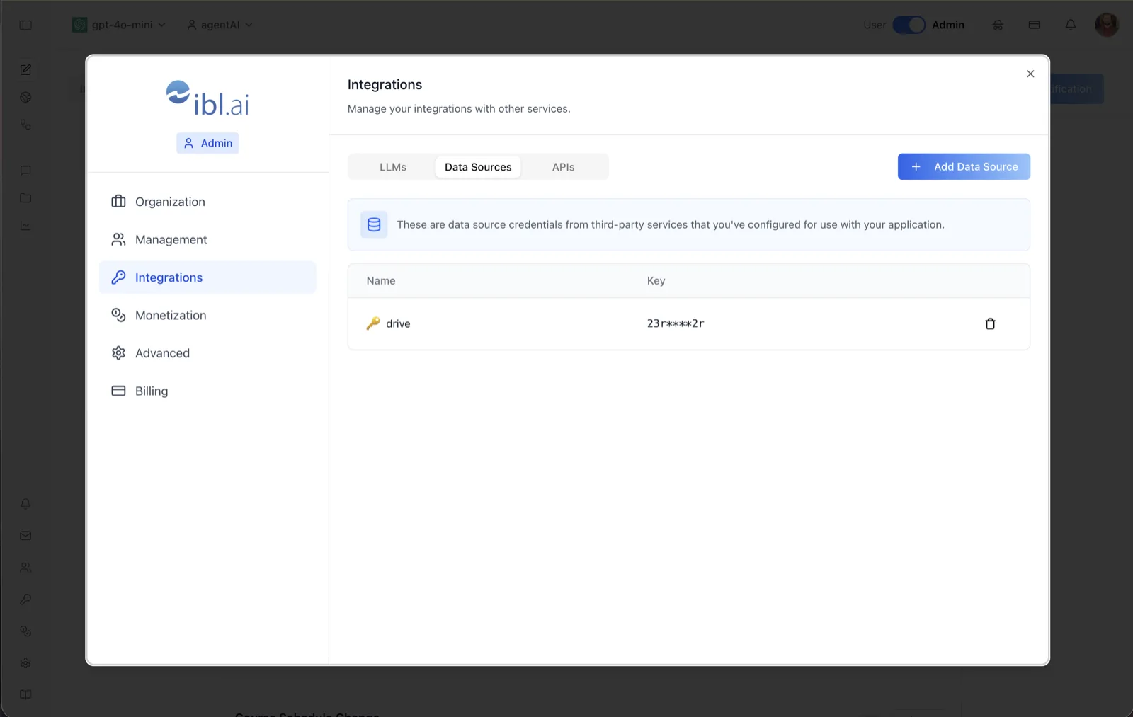 Integrations Data Sources tab showing a drive credential with a masked key and an Add Data Source button